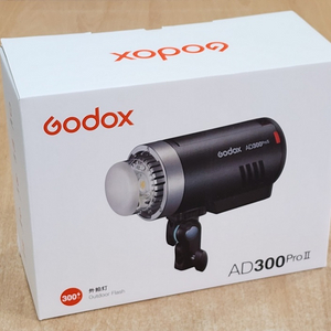 고독스 AD300Pro II 판매합니다 이미지
