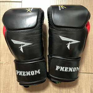 피넘 XRT220 얼티밋 복싱글러브 이미지
