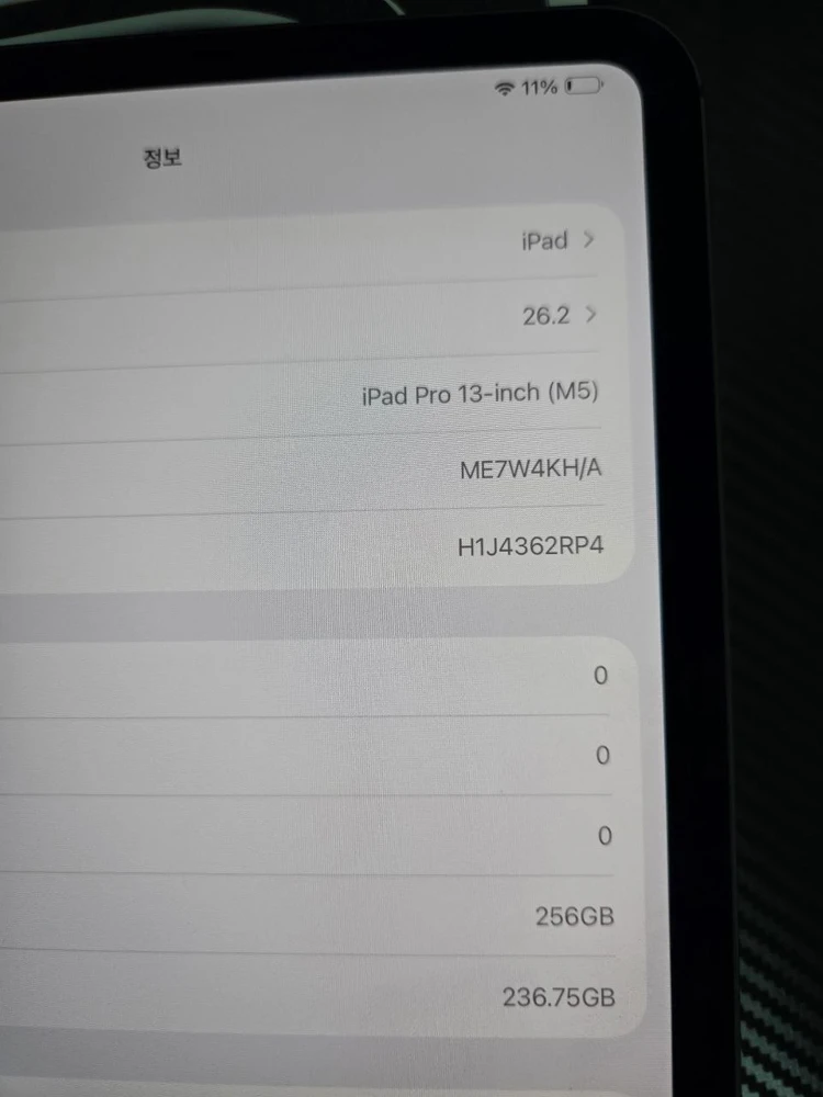아이패드 프로 M5 13인치 셀룰러 이미지