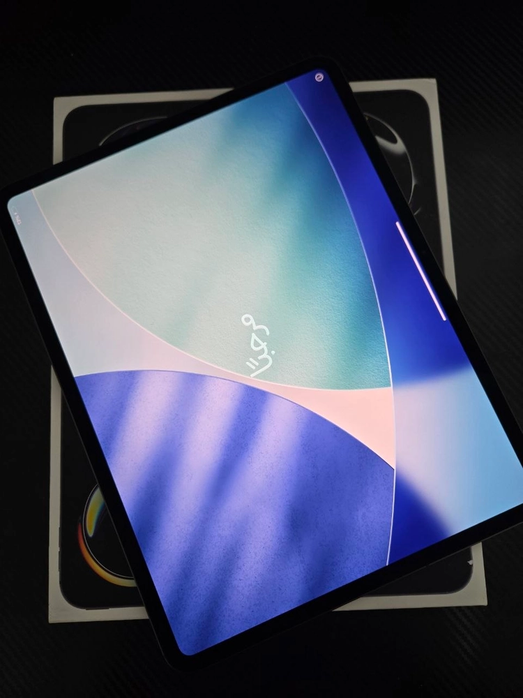 아이패드 프로 M5 13인치 셀룰러 이미지