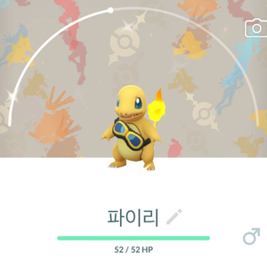 포켓몬고 프리드고글 파이리 이로치 배경 이미지