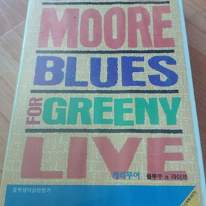 [희귀/소장용] 게리 무어(Gary Moore) - Blues for Greeny Live VHS 비디오 테이프 ( 이미지