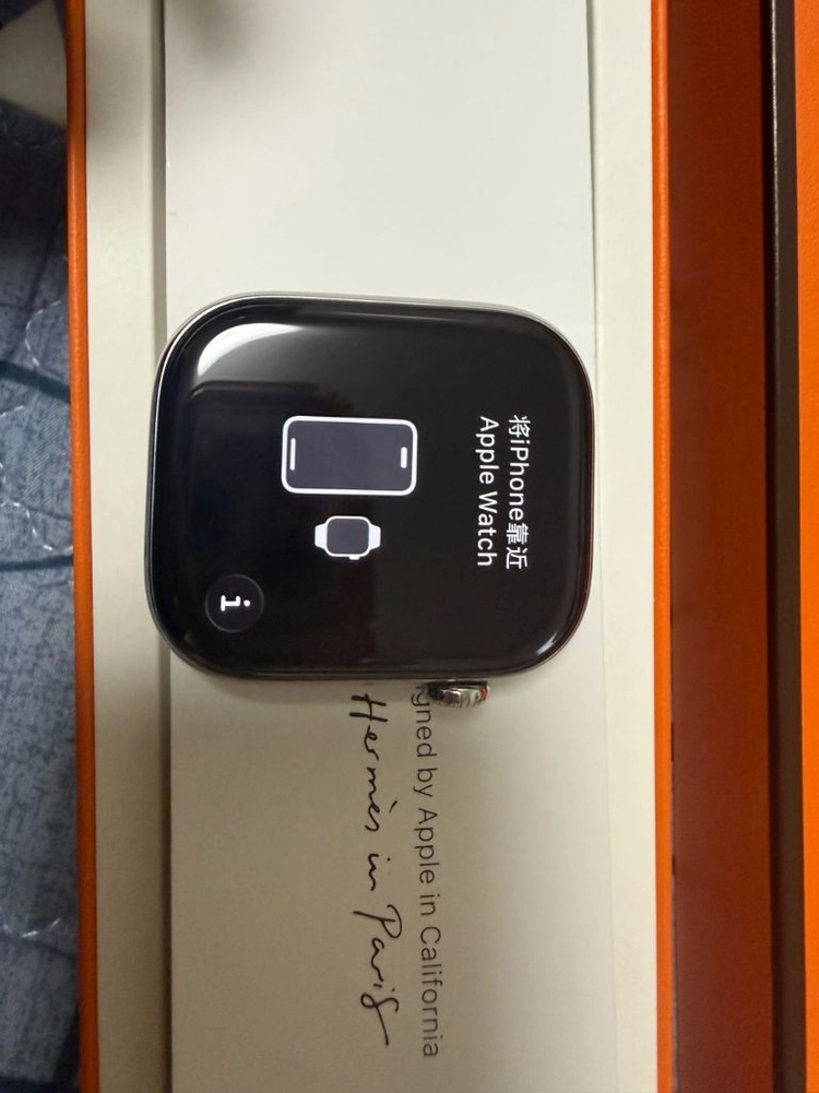 애플워치 10 에르메스 실버티타늄 46mm 기기단품 이미지