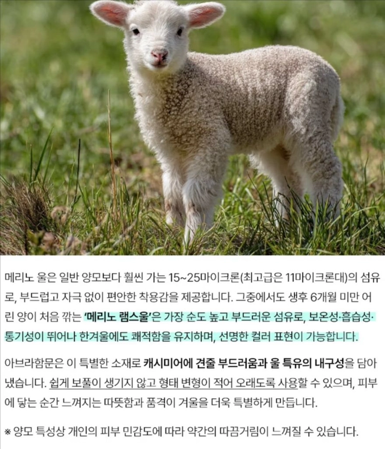 [1회착용] 영국 아브라함문 정품 메리노울100% 체크 숄머플러 이미지