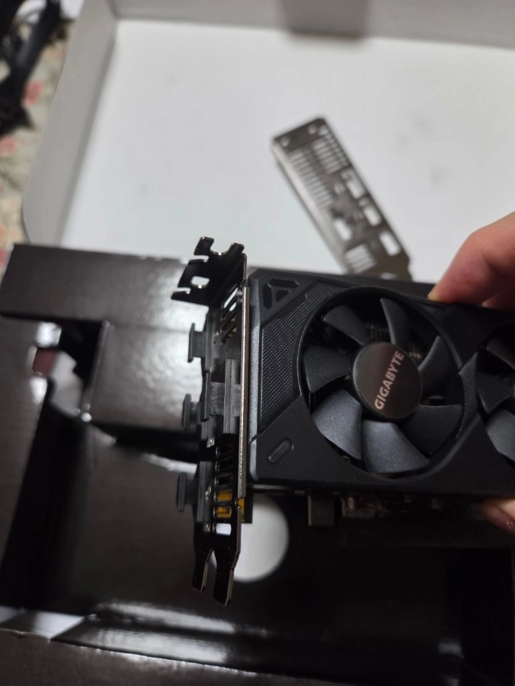 기가바이트 RTX5050 LP 이미지