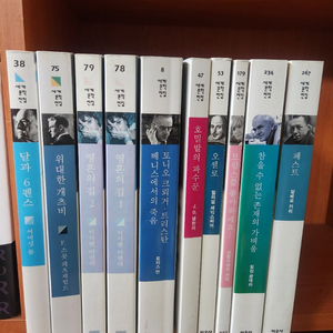 민음사 세계문학전집 10권 이미지