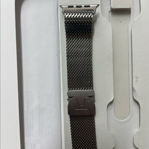 애플워치 티타늄 밀레니즈루프 내추럴 49mm M 이미지