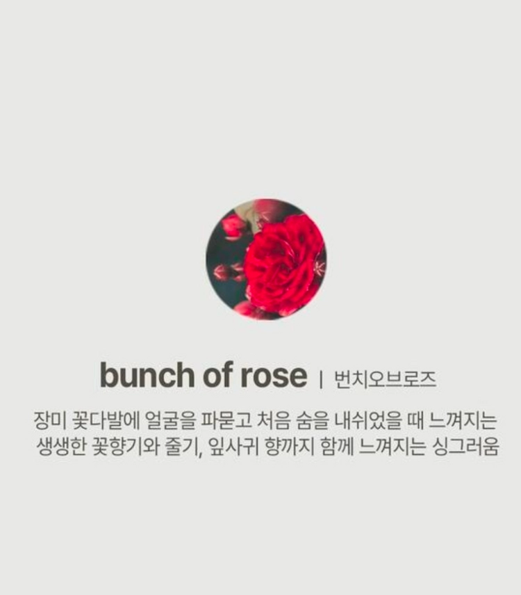 라이플라 천연 수제 소이캔들 이미지
