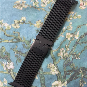 애플워치 티타늄 밀레니즈루프 블랙 49mm M SS급 이미지