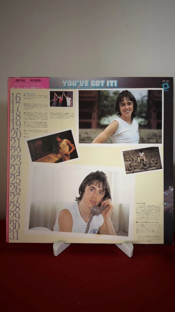 (록,펫 맥글린 일본라이브 LP, 민트급 알판)Pat McGlynn Youve Got It 이미지