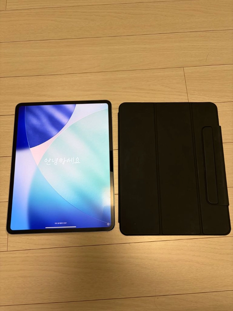 S급 ) 아이패드 프로 M4 13인치 256gb 실버 배터리 100 이미지