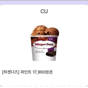 하겐다즈 파인트 벨지안 초콜릿 이미지