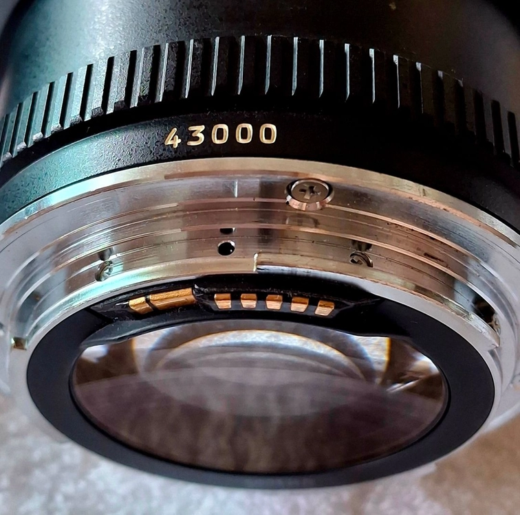 EF 80-200mm F2.8 망원렌즈 이미지