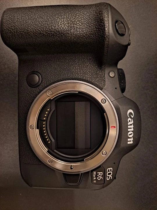 캐논 EOS R6Mark2 카메라 판매합니다. 이미지