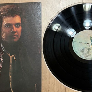 Lee Ritenour - Feel The Night (이기 리테나워) 일본 초판 LP 이미지