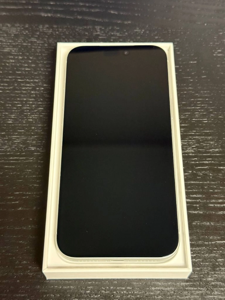 [사이클 0, 신품급] 아이폰 17 Pro Max, 실버, 1TB 이미지