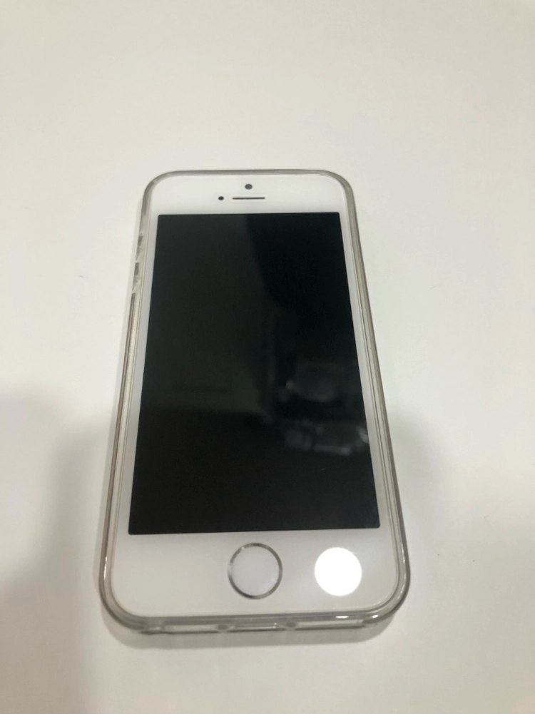 아이폰 SE1 실버 64GB 이미지