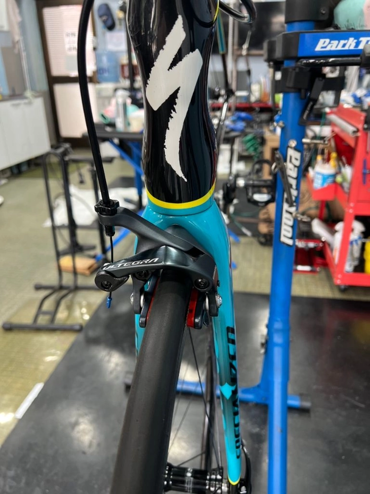 스페셜라이즈드 에스웍 S-WORKS 타막 SL5 팀 아스타냐 56 이미지