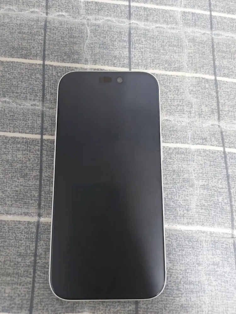 아이폰 17pro 256GB 실버 이미지