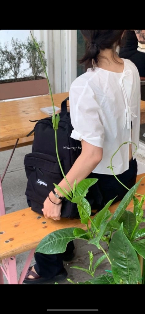 haag 페이퍼 블라우스 이미지