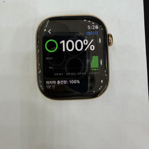 애플워치10 46mm 셀룰러+GPS 밀레니즈 루프+충전기 포함 이미지