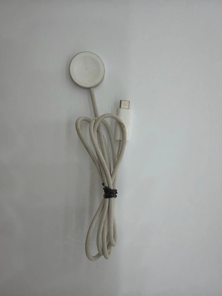 애플워치10 46mm 셀룰러+GPS 밀레니즈 루프+충전기 포함 이미지