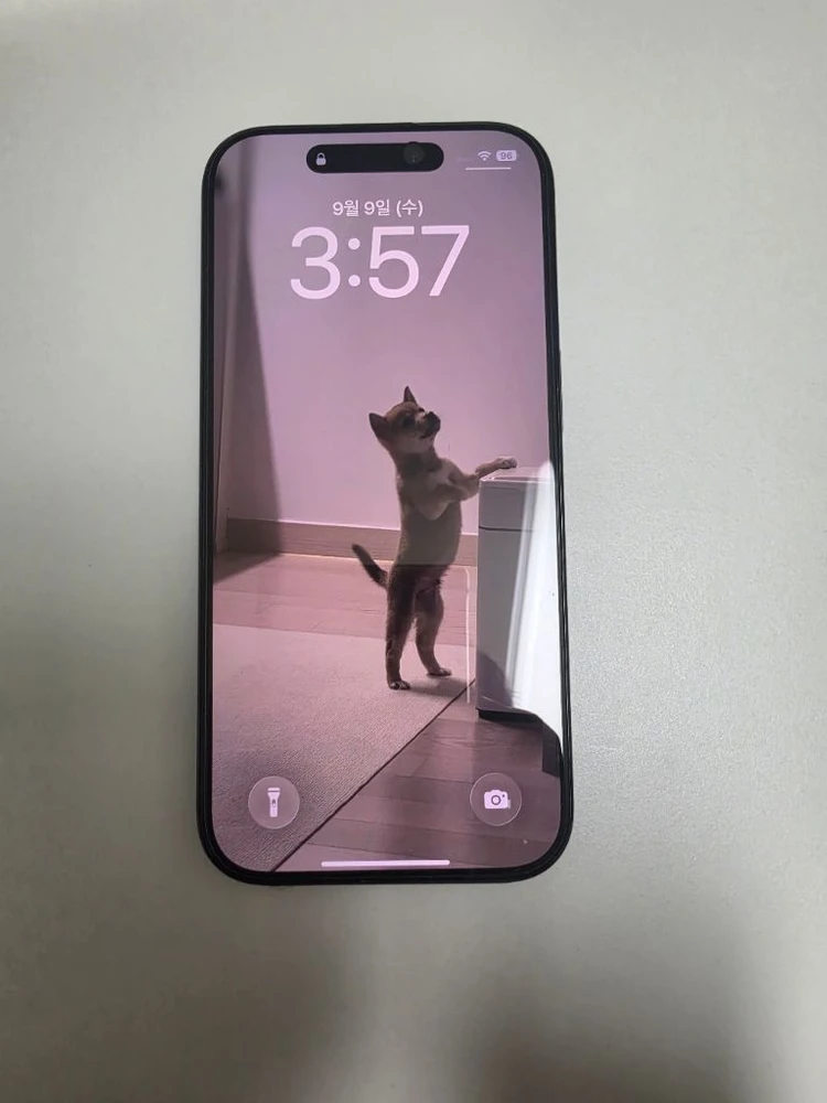 아이폰16프로256GB - 안심되는 중고거래