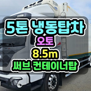 9.5톤냉동탑차 파비스 써브 컨테이너 냉동탑 2023년 111,006Km 이미지