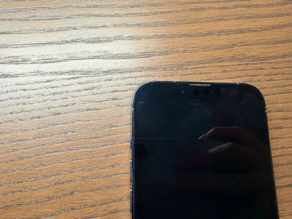 아이폰 13 pro 시에라블루 256GB 이미지