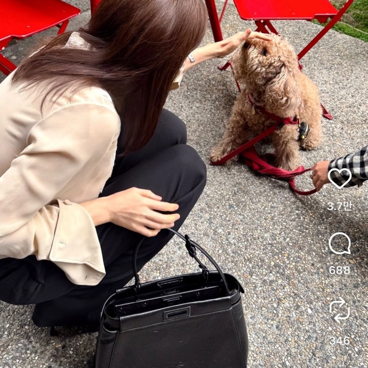 피카부 셀러리아 백 새상품(김혜수 백) 이미지