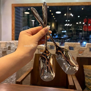316 올스텐 서빙 스푼 2개 세트 (새상품) 이미지