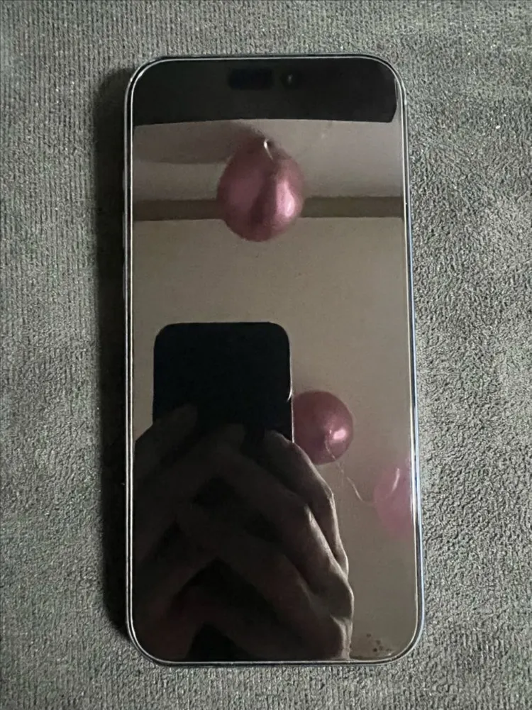 아이폰 17 프로맥스 256GB 배터리 100 이미지