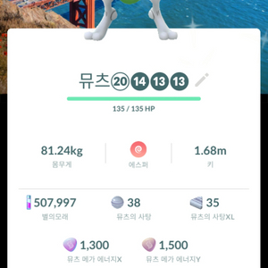 포고 샌프란시스코 배로치 뮤츠 이미지