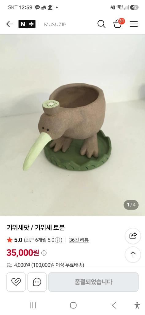 C.maxima carnea K.S x self 맥시마 카르네아 (카틀레야) 이미지