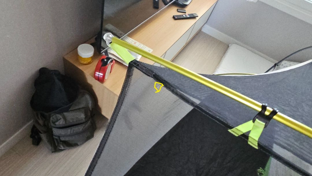 니모 드라곤 플라이 이미지