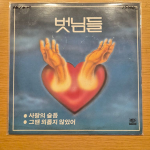 벗님들 lp 이미지