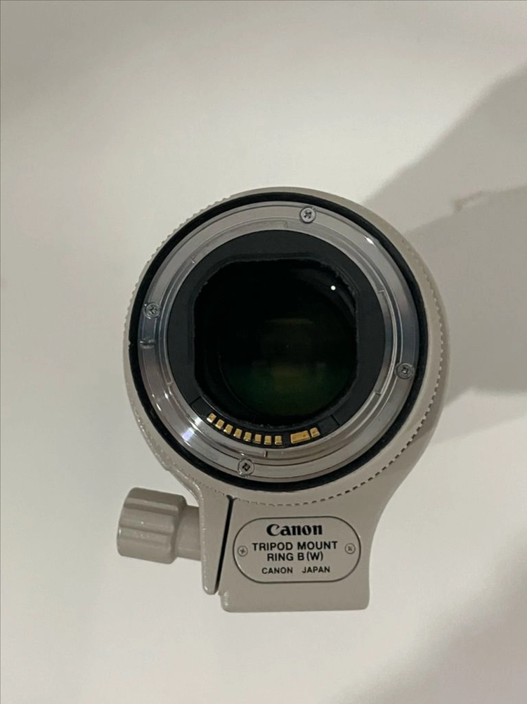 70-200mm F2.8 망원렌즈 이미지