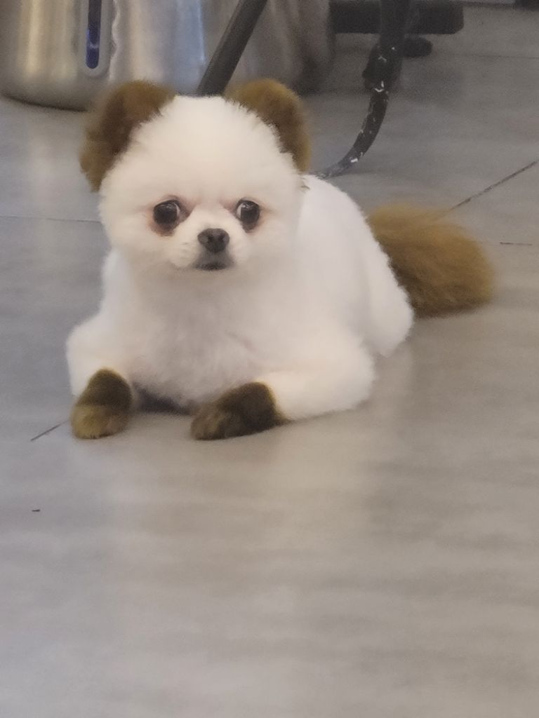 프로필 이미지