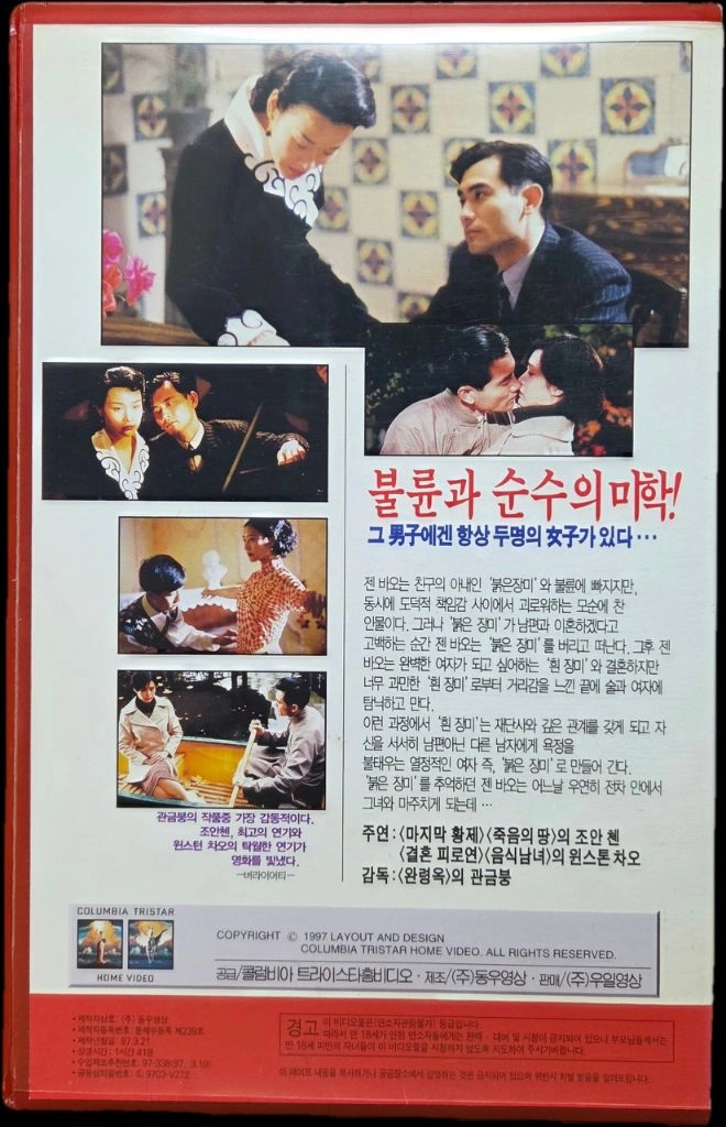 레드 로즈 화이트 로즈 비디오테이프 이미지