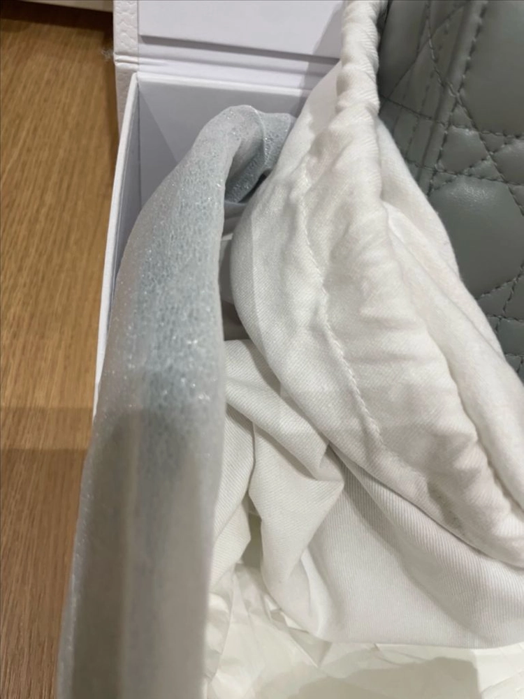 디올레이디백 스몰 이미지
