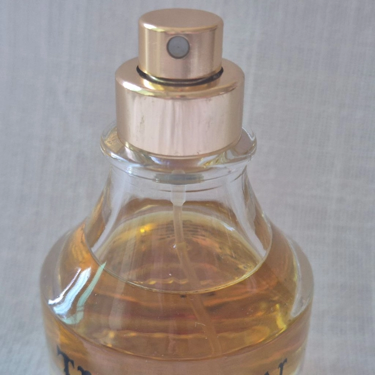 아스티에 드 빌라트 향수 투손 Tucson 30ml 이미지
