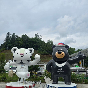 신세계상품권 이미지