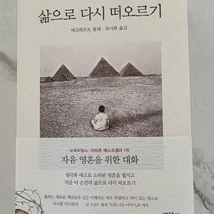 베스트셀러 도서 삶으로 다시 떠오르기: 자유 영혼을 위한 대화 책 이미지