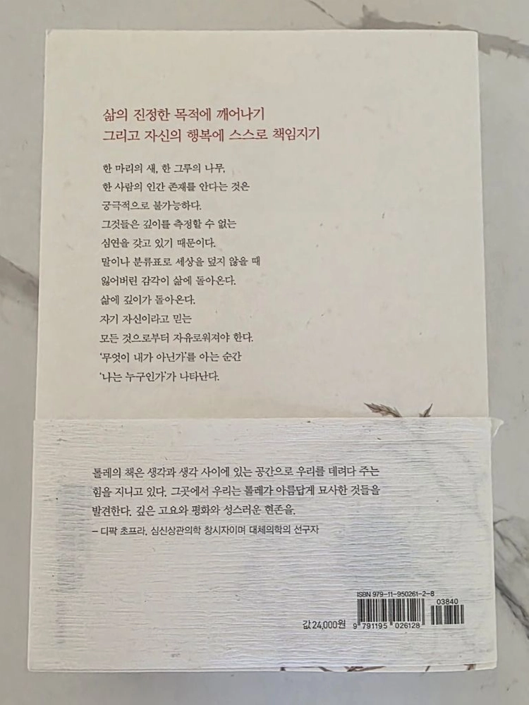 베스트셀러 도서 삶으로 다시 떠오르기: 자유 영혼을 위한 대화 책 이미지