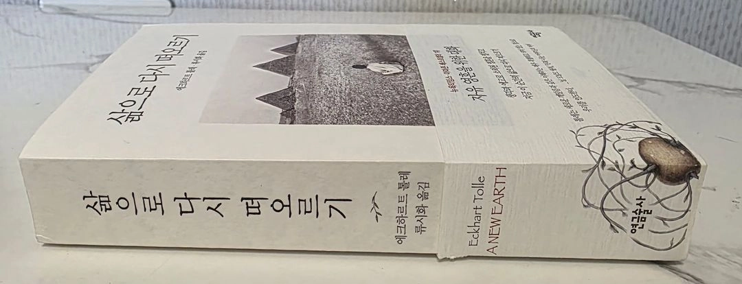 베스트셀러 도서 삶으로 다시 떠오르기: 자유 영혼을 위한 대화 책 이미지