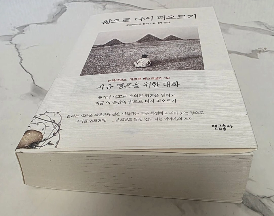 베스트셀러 도서 삶으로 다시 떠오르기: 자유 영혼을 위한 대화 책 이미지
