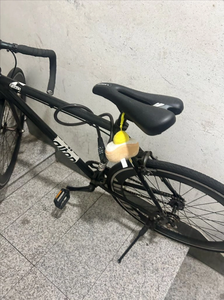 픽시 자전거 이미지