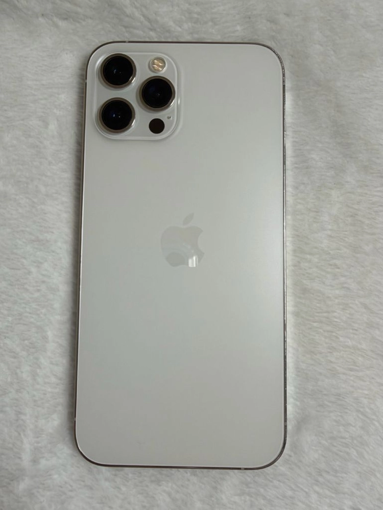 아이폰 13promax 실버 256GB 이미지