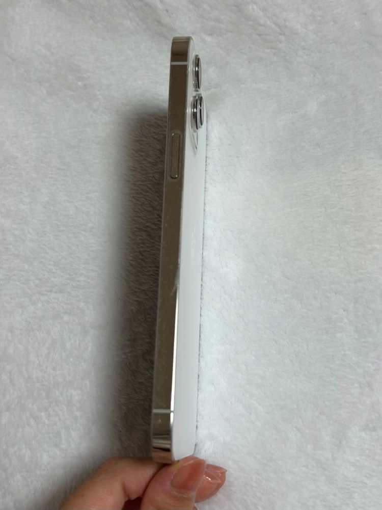 아이폰 13promax 실버 256GB 이미지