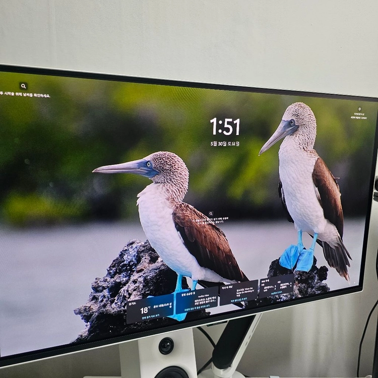 오디세이 G6 모니터(OLED/240hz) 이미지
